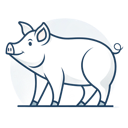 Heo (Hợi) Heo - Hợi